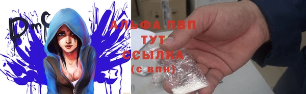 соль ск Надым