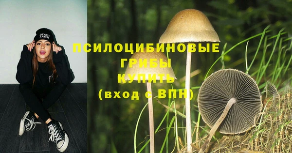 соль ск Надым