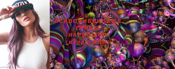 амф Михайловск