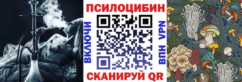Псилоцибиновые грибы Cubensis Нижняя Салда
